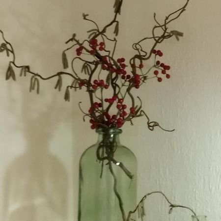 Ferienhaus Erika 马尔尼茨 外观 照片